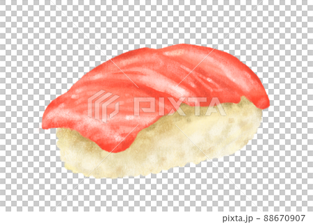 Hand drawing Japanese food Otoro tuna maguro sushi sashimi nigiri 88670907