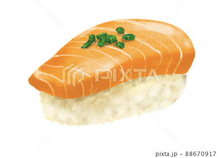 Hand drawing Japanese food sushi salmon sashimi nigiri 88670917
