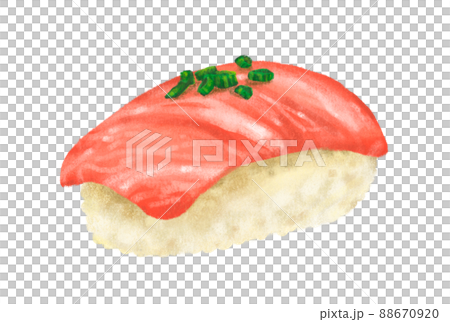 Hand drawing Japanese food Otoro maguro tuna sushi nigiri Hand drawing Japanese food Otoro maguro tuna sushi nigiri 88670920