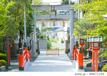 【日本】神奈川、鈴鹿神社の赤い灯籠が並ぶ無人の参道と鳥居 【日本】神奈川、鈴鹿神社の赤い灯籠が並ぶ無人の参道と鳥居 88671100