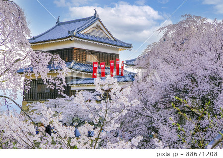 春の上田城 88671208