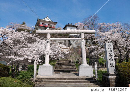 宮城県 涌谷城跡 城山公園 宮城県 涌谷城跡 城山公園 88671267