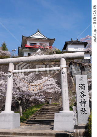宮城県 涌谷城跡 城山公園 宮城県 涌谷城跡 城山公園 88671686