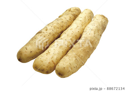 ヤマトイモ07(パス付) ヤマトイモ07(パス付) 88672134