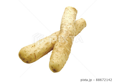 ヤマトイモ10（パス付） 88672142