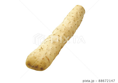 ヤマトイモ12（パス付） 88672147