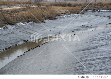 風景 自然 韓国 88674002