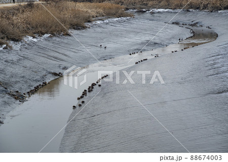 風景 生態公園 始興市 88674003