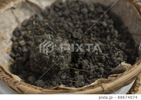 藍染めの染料となる蒅(すくも) 藍染めの染料となる蒅(すくも) 88674074