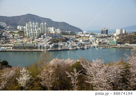 風景 海 桜 88674194