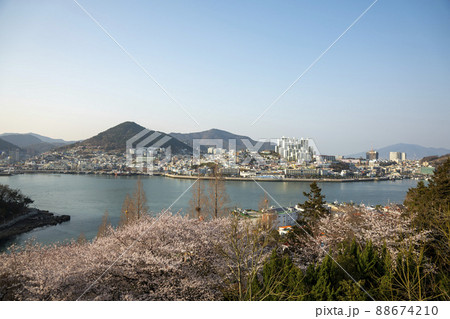 突山島 風景 海 88674210
