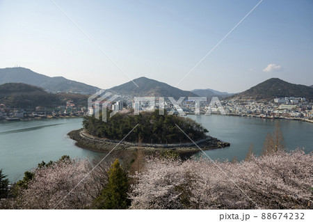 風景 海 桜 88674232