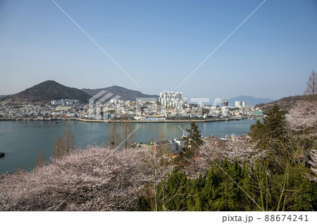 突山島 風景 海 88674241
