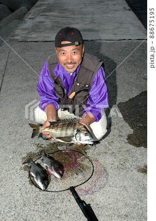 湘南のクロダイ釣り 湘南のクロダイ釣り 88675195