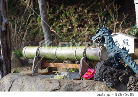 葛原岡神社の手水舎_龍_水 88675689
