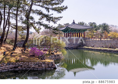 雁鴨池 建物 池 88675983