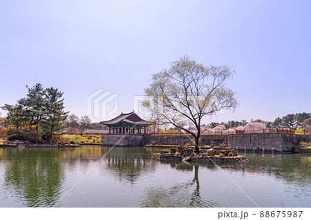 雁鴨池 建物 池 88675987