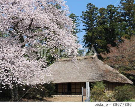 阿久沢家住宅(国指定重要文化財) 阿久沢家住宅(国指定重要文化財) 88677886