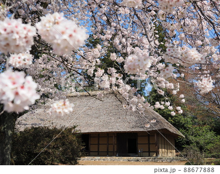 阿久沢家住宅（国指定重要文化財） 88677888