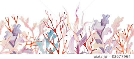 Watercolor seamless border made from seaweeds and coral in pastel colors. Illustration 88677964