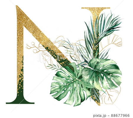 Golden letter N decorated with green and golden Watercolor tropical leaves isolated 88677966