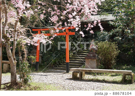日向大神宮 88678104