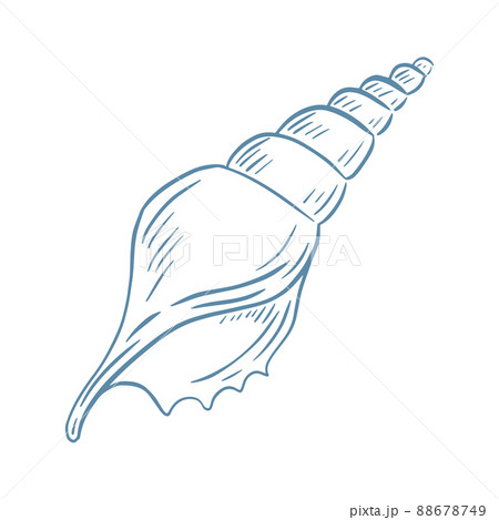 Beautiful drawn spiral shell hand drawn engraving vector illustration 88678749