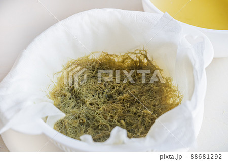 濾し終わった天草 88681292