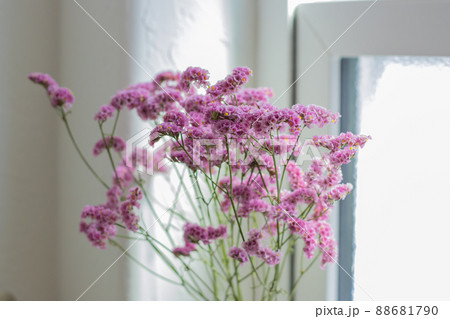 トイレの生花 88681790