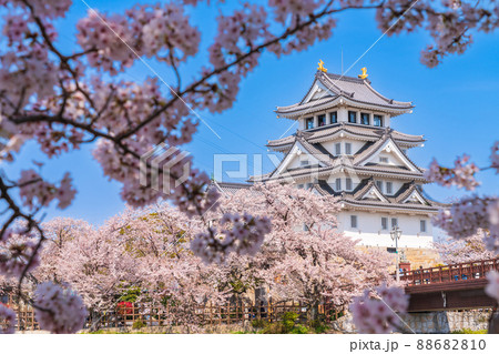 春の墨俣一夜城、満開の桜〈岐阜県大垣市〉 春の墨俣一夜城、満開の桜〈岐阜県大垣市〉 88682810