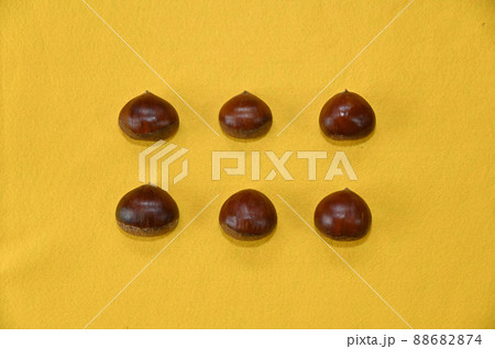 黄色い背景上に並べた秋の味覚の栗 88682874