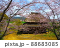 茅葺屋根と桜 88683085