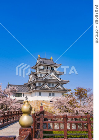 春の墨俣一夜城、満開の桜〈岐阜県大垣市〉 88683093