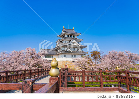 春の墨俣一夜城、満開の桜〈岐阜県大垣市〉 88683167