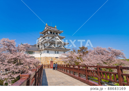 春の墨俣一夜城、満開の桜〈岐阜県大垣市〉 88683169