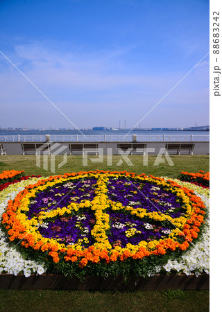 春の花咲く横浜山下公園 88683242