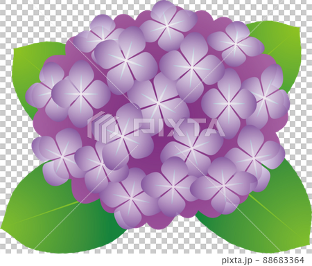 Simple and transparent purple hydrangea illustration 88683364