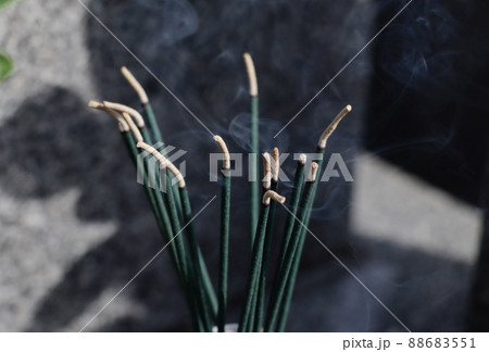 ＜京都市＞養徳院 88683551