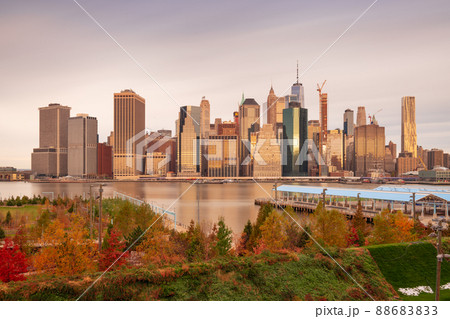 New York City Skyline with Autumn Foliage New York City Skyline with Autumn Foliage 88683833