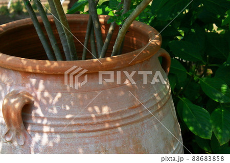 大きな水瓶と夏の木漏れ日の写真素材 [88683858] - PIXTA