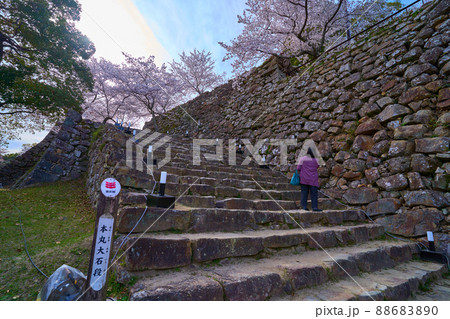春の兵庫県洲本市の洲本城跡(本丸大石段) 88683890