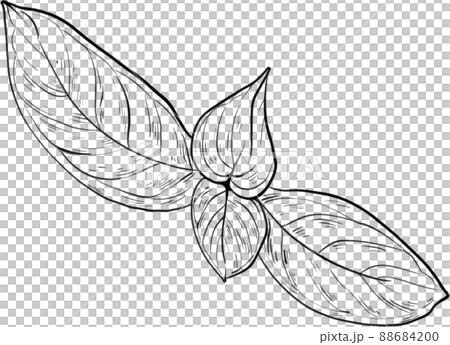 Steak food line art 88684200