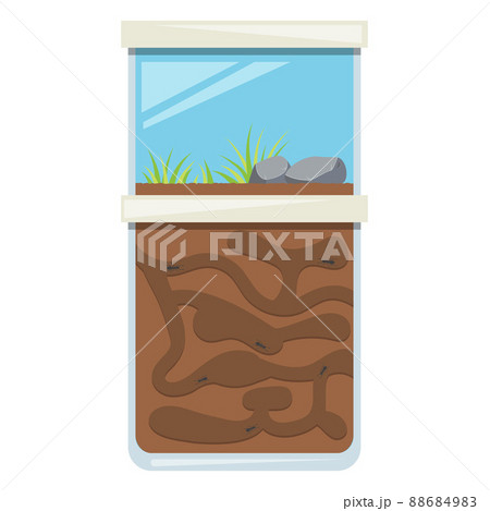 Ant farm toy. Tunnel for colony of insects. Home glass terrarium. Vector illustration. 88684983