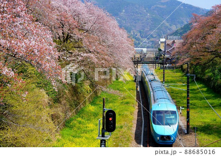 春の御殿場線　桜のトンネルと特急ふじさん 88685016
