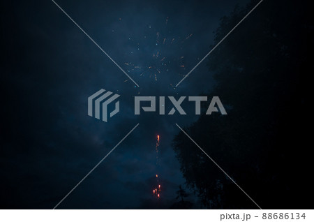 Fireworks in the night sky 88686134