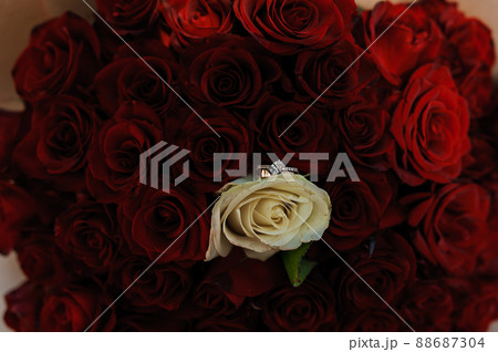 Bouquet of red roses, women's gold ring with a stone. Bouquet of red flowers. An offer of marriage Bouquet of red roses, women's gold ring with a stone. Bouquet of red flowers. An offer of marriage 88687304