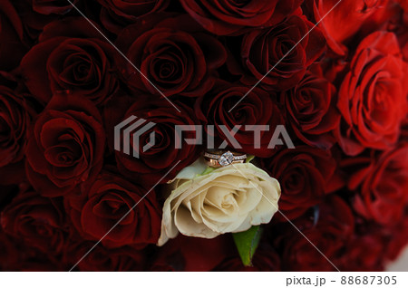 Bouquet of red roses, women's gold ring with a stone. Bouquet of red flowers. An offer of marriage Bouquet of red roses, women's gold ring with a stone. Bouquet of red flowers. An offer of marriage 88687305