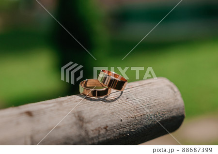 A pair of gold wedding rings on a green background. Rings on the background of leaves and wood A pair of gold wedding rings on a green background. Rings on the background of leaves and wood 88687399