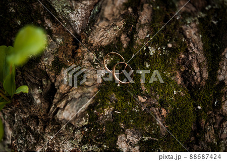 A pair of gold wedding rings on a green background. Rings on the background of leaves and wood 88687424