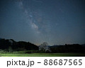 向野のエドヒガン桜 88687565